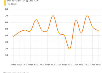 Bột giặt LIX lên kế hoạch lợi nhuận quý 1/2023 đi lùi - Ảnh 1.