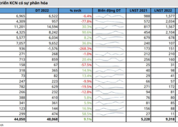 Mirae Asset: Cơ hội cho các doanh nghiệp BĐS Khu công nghiệp còn quỹ đất cho thuê lớn trong năm 2023 - Ảnh 1.