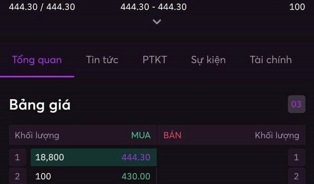 Cổ phiếu kỳ lân VNG liên tiếp tăng trần, vốn hóa lên gần 16.000 tỷ đồng trong tuần đầu năm mới - Ảnh 1.