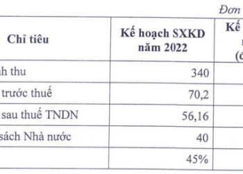 Công ty thành viên của IDICO chuẩn bị tạm ứng cổ tức 45% - Ảnh 1.