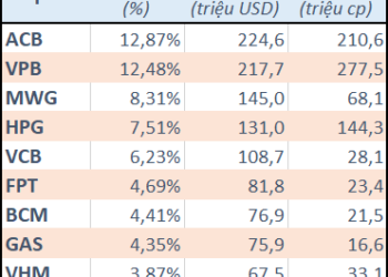 Dragon Capital đang đầu tư ra sao trên thị trường chứng khoán Việt Nam? - Ảnh 1.