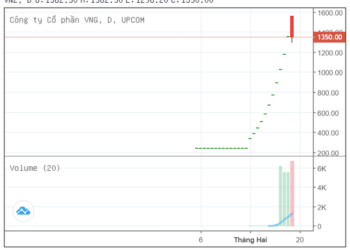 Đứt chuỗi tăng trần 11 phiên sau khi lên gần 1,6 triệu đồng, lần đầu tiên cổ phiếu VNZ quay đầu giảm - Ảnh 1.