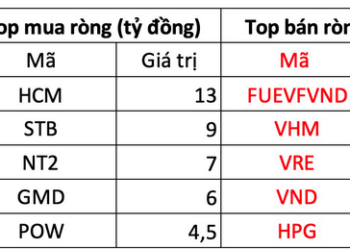 Khối ngoại bán ròng mạnh gần 700 tỷ đồng, xả hàng trên diện rộng - Ảnh 1.