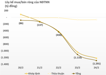 Khối ngoại bán ròng nghìn tỷ tuần 20-24/2, tâm điểm xả nhóm bất động sản - Ảnh 1.
