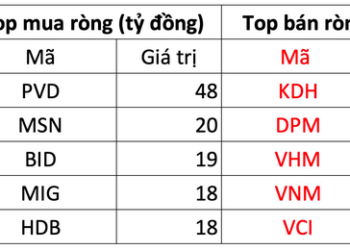 Khối ngoại quay đầu bán ròng trong phiên thị trường giảm điểm - Ảnh 1.