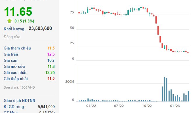 Novaland xin ý kiến cổ đông ủy quyền cho HĐQT thực hiện mua, bán tài sản - Ảnh 1.