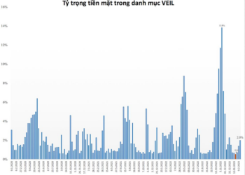 Quỹ lớn nhất do Dragon Capital quản lý liên tục nâng tỷ trọng tiền mặt - Ảnh 1.