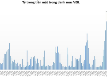 Quỹ lớn nhất do Dragon Capital quản lý nâng tỷ trọng cổ phiếu lên cao nhất trong 7 tháng - Ảnh 1.