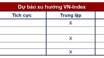 Góc nhìn CTCK: Rủi ro điều chỉnh vẫn còn, mốc điểm 1.050 trở nên quan trọng - Ảnh 1.