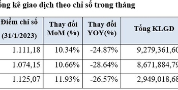 HoSE: Thanh khoản thị trường tháng 1 sụt giảm mạnh, lượng cổ phiếu giao dịch tụt một nửa so với tháng trước - Ảnh 1.