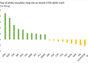 Tự doanh CTCK mua ròng hơn 160 tỷ đồng trong phiên khối ngoại đảo chiều bán ròng - Ảnh 1.