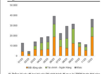 VNDirect chỉ ra giải pháp trong Dự thảo sửa đổi NĐ65 có thể quyết định sự sống còn của doanh nghiệp - Ảnh 1.
