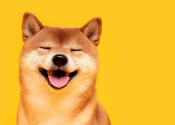 Memecoin tăng giá trị thêm 5 tỷ USD, nên gom mua Shiba INU (SHIB) hay DOGE coin?