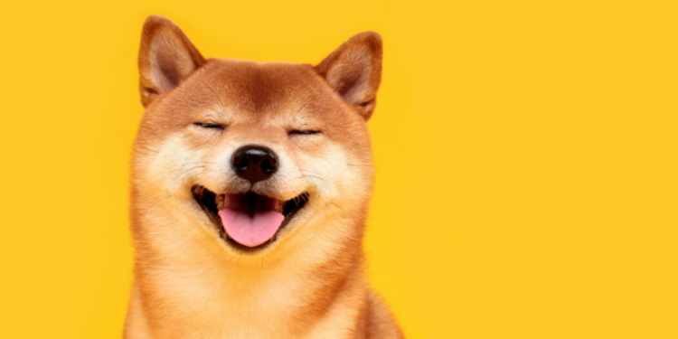 Memecoin tăng giá trị thêm 5 tỷ USD, nên gom mua Shiba INU (SHIB) hay DOGE coin?
