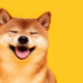 Memecoin tăng giá trị thêm 5 tỷ USD, nên gom mua Shiba INU (SHIB) hay DOGE coin?