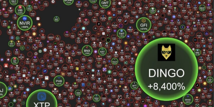 Dingo token (DINGO) bị cảnh báo là dự án lừa đảo