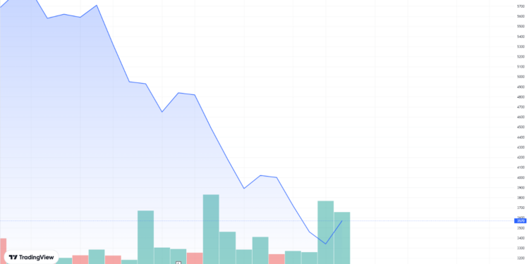 Cổ phiếu FLC có thể giao dịch lại trong năm nay?