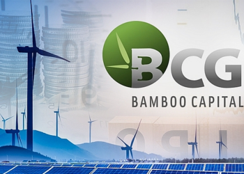 Khoản vốn góp vào Bảo hiểm AAA được Bamboo Capital chuyển sang công ty khác