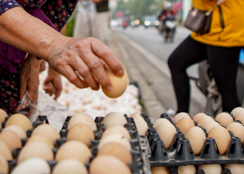 Hà Nội: Giải cứu trứng gà là chiêu trò của tiểu thương