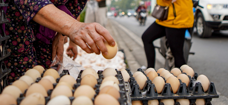 Hà Nội: Giải cứu trứng gà là chiêu trò của tiểu thương