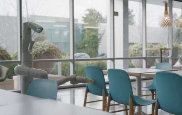 Google "đuổi việc" cả robot