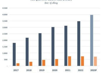 Biwase (BWE) đặt mục tiêu lợi nhuận 720 tỷ đồng trong năm 2023, đẩy mạnh M&A các công ty nước, môi trường từ DNP - Ảnh 1.