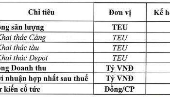Cảng Hải An (HAH) lên kế hoạch lợi nhuận đi lùi, chia cổ tức 50% bằng cổ phiếu và huy động 500 tỷ trái phiếu chuyển đổi - Ảnh 1.