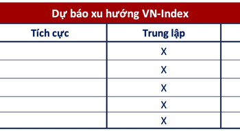 Góc nhìn CTCK: Chưa phải là thời điểm thích hợp để mua mới cổ phiếu - Ảnh 1.