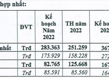 Dự báo khó khăn, Tín Nghĩa vẫn tự tin với mục tiêu lợi nhuận 2023 tăng trưởng 62% lên mức kỷ lục - Ảnh 1.