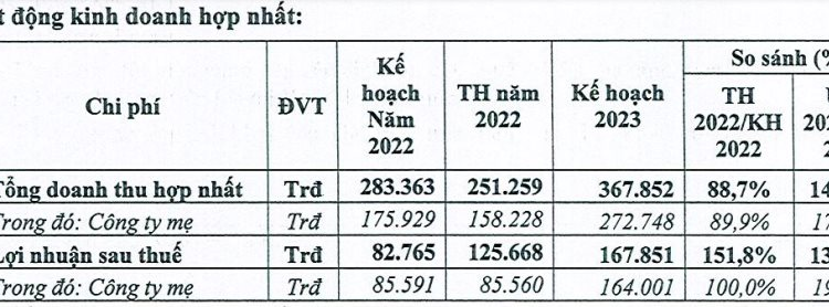 Dự báo khó khăn, Tín Nghĩa vẫn tự tin với mục tiêu lợi nhuận 2023 tăng trưởng 62% lên mức kỷ lục - Ảnh 1.