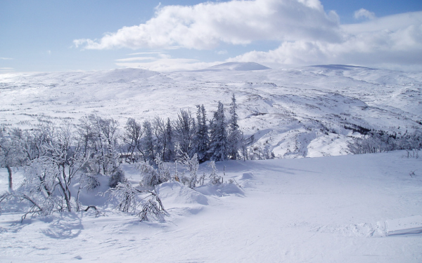 Hồng Kông chậm chấp nhận Nhân dân tệ kỹ thuật số của Trung Quốc bất chấp các ưu đãi của chính phủ và máy ví độc đáo