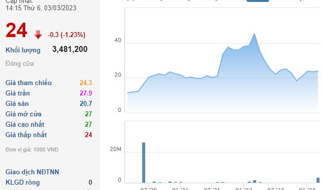 Một công ty bất động sản bán ra gần 7 triệu cổ phiếu Seaprodex (SEA) trong 2 ngày, thu về 160 tỷ đồng - Ảnh 1.