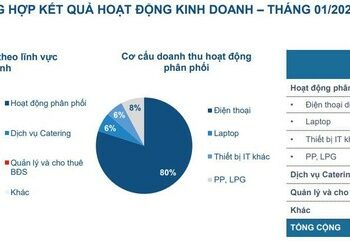 Nhà phân phối ủy quyền Apple ước lãi 2 tỷ đồng tháng đầu năm, giảm gần 94% - Ảnh 1.