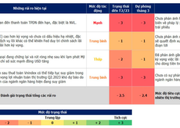 Nhiều rủi ro trên thị trường chứng khoán vẫn chưa phản ánh hết, VN-Index có thể gặp biến động trong tháng 3 - Ảnh 1.