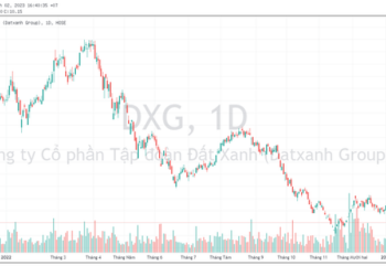 Nhóm quỹ Dragon Capital bán ròng gần 45 triệu cổ phiếu Đất Xanh (DXG) chỉ trong tháng 2 - Ảnh 1.