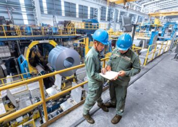 Tỉ phú Trần Đình Long và HĐQT Hòa Phát nhận thù lao 0 đồng - Ảnh 1.