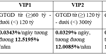 VietinBank Securities ra mắt gói ưu đãi lãi suất chỉ từ 11,5%/năm - Ảnh 1.