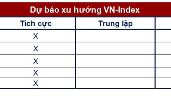 Góc nhìn CTCK: Xuất hiện tín hiệu tăng giá đáng tin cậy, VN-Index hướng lên 1.080 điểm - Ảnh 1.