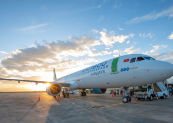 Ông Nguyễn Minh Hải xin từ nhiệm sau 2 tháng làm CEO Bamboo Airways