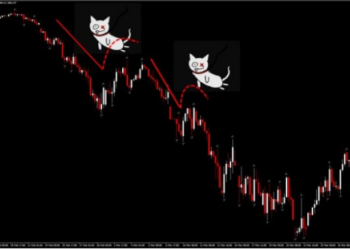 Dead cat bounce và bull trap là gì? có giống nhau không?