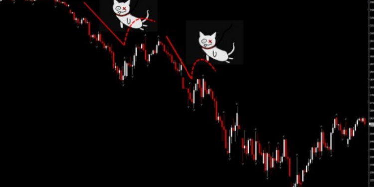 Dead cat bounce và bull trap là gì? có giống nhau không?