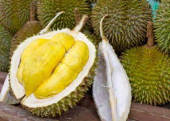 Sầu riêng, thanh long Việt đón thêm thách thức mới