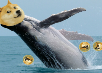151 triệu Dogecoin “mất tích” trên sàn giao dịch Binance