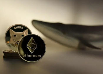 Nếu có 1000 USD bạn sẽ mua Shiba Inu hay Ethereum?