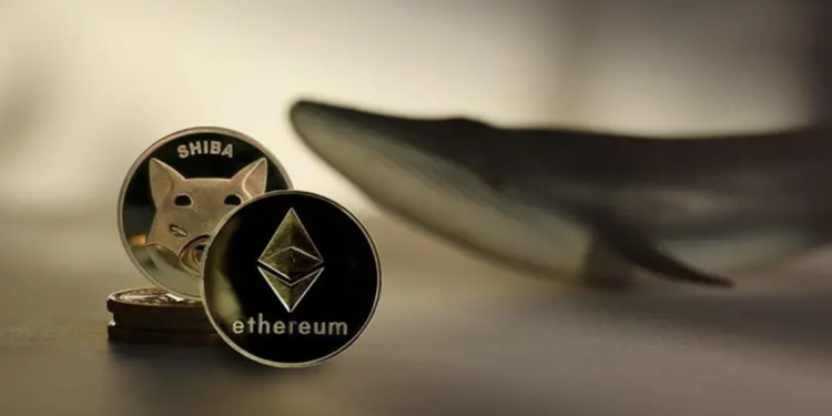Nếu có 1000 USD bạn sẽ mua Shiba Inu hay Ethereum?