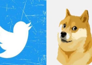 “Trò đùa” Dogecoin chấm dứt, cộng đồng crypto phẫn nộ lên án Elon Musk