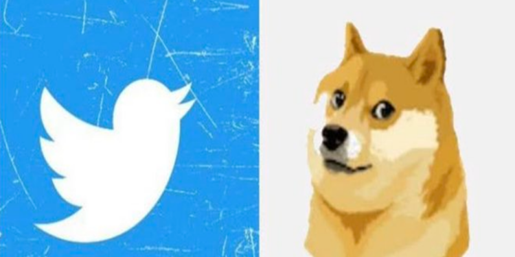 “Trò đùa” Dogecoin chấm dứt, cộng đồng crypto phẫn nộ lên án Elon Musk