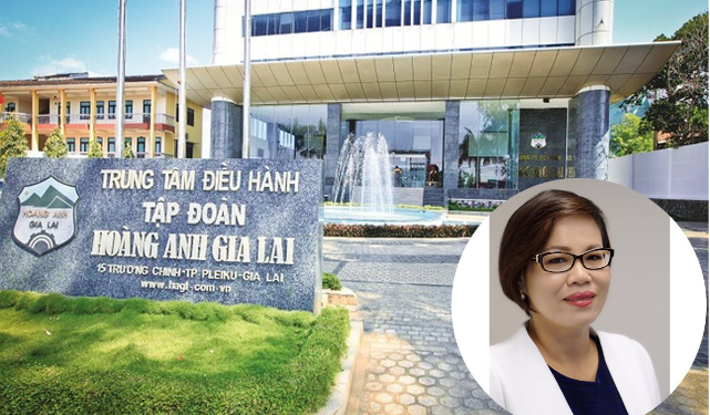 Thêm nữ tướng Võ Thị Huyền Lan "chia tay" bầu Đức