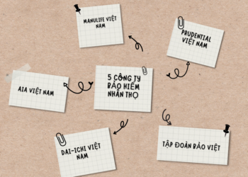 5 công ty bảo hiểm nhân thọ lớn đầu tư hơn 1 tỷ USD vào chứng khoán