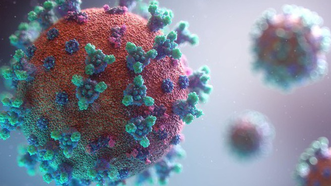 Phát hiện biến chủng phụ mới của Omicron XBB.1.9.1 ở Hà Nội